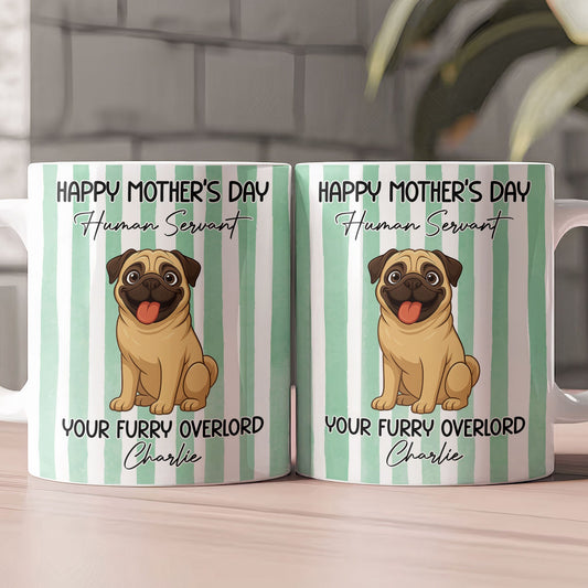 Happy Mother's Day Human Servant - Personalized Mug