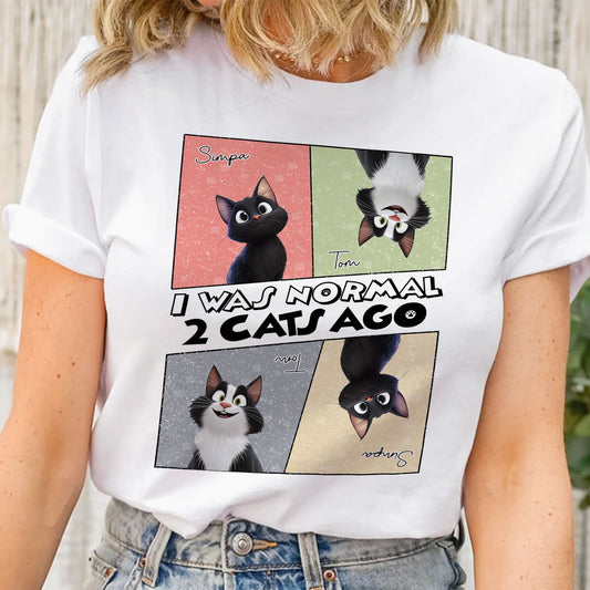 I Was Normal 3 Cats Ago - Personalized Shirt