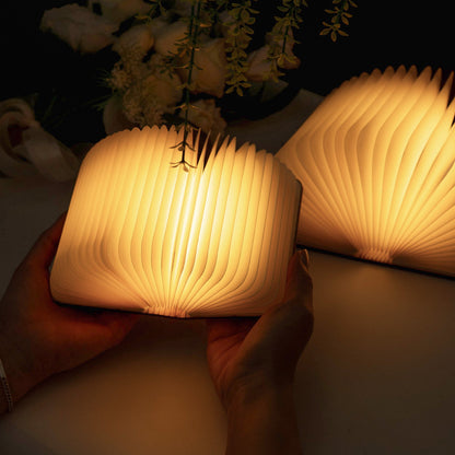 Jane Austen Old Book Cover - Personalized Book Lamp