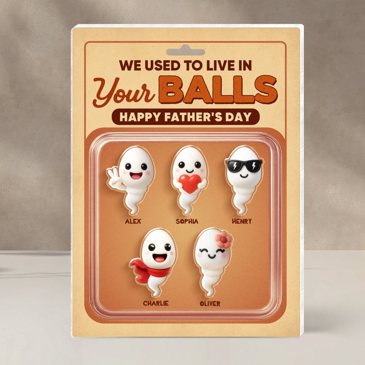 We Used To Live In Your Balls Toy Box Figures Style Personalized Acrylic Block Plaque, Funny  gift for Dads