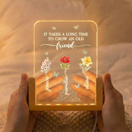 Sisters Are Different Flowers From The Same Garden - Personalized Night Light