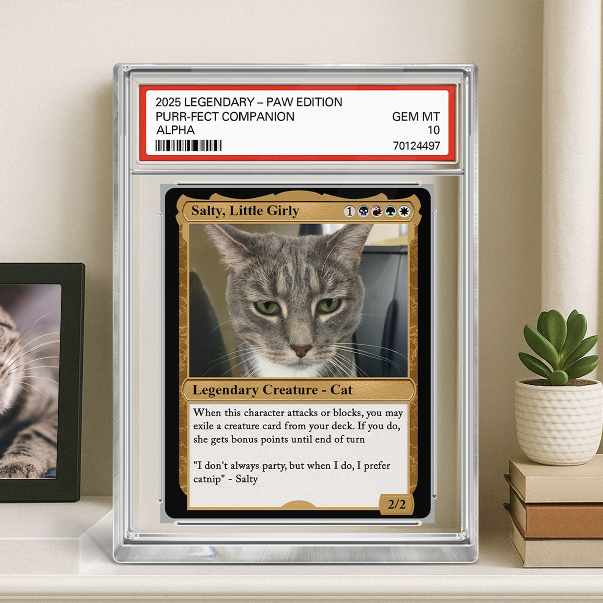Custom Pet Photo Fantasy Trading Card Style Personalized Acrylic Block Plaque, Gift For Pet Lover