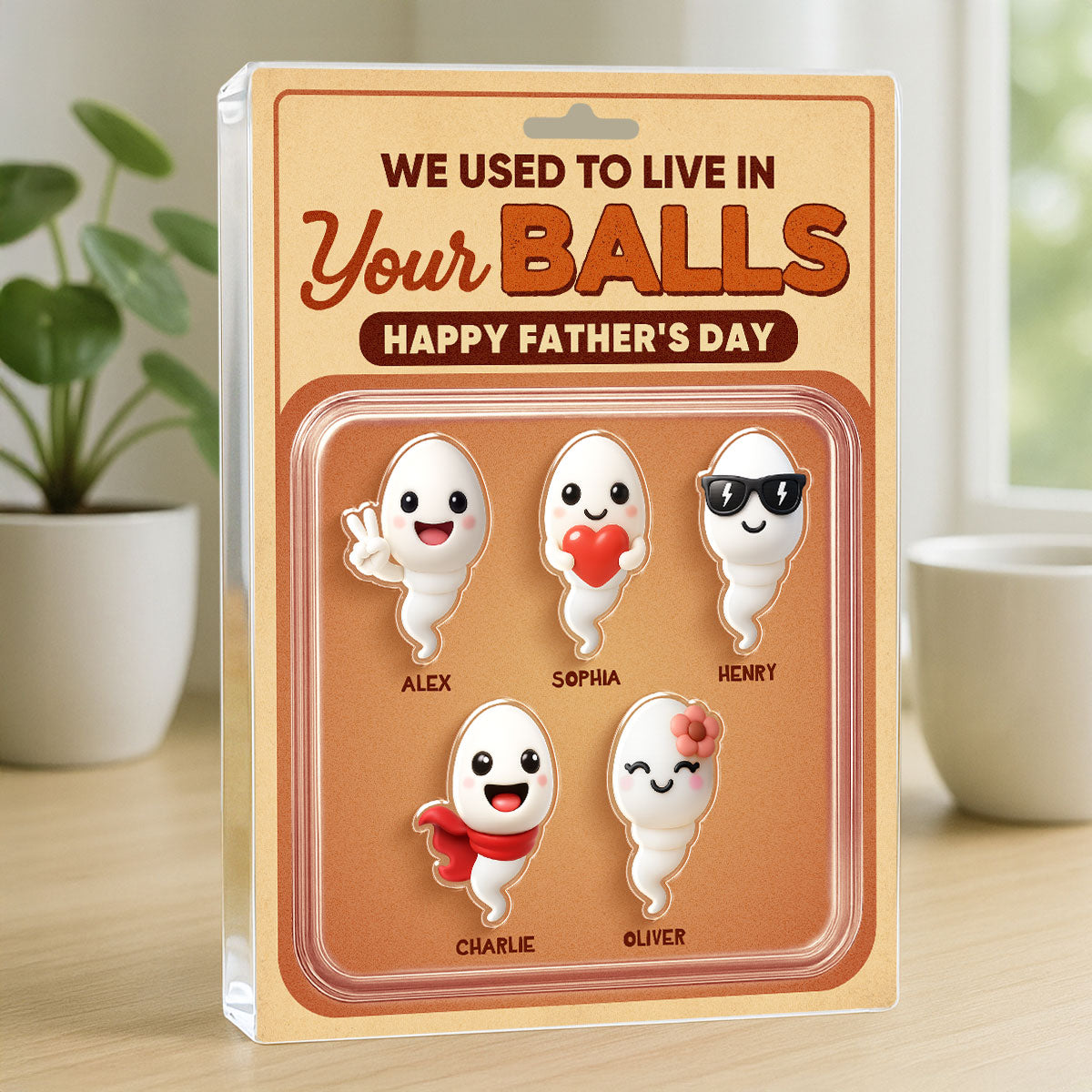We Used To Live In Your Balls Toy Box Figures Style Personalized Acrylic Block Plaque, Funny  gift for Dads