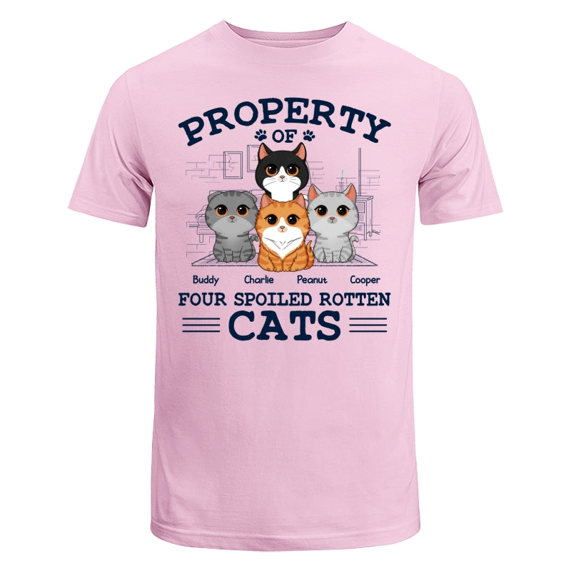 Property Of Spoiled Rotten Cats Personalized Shirt