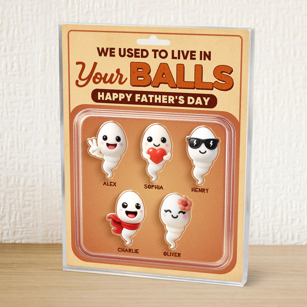 We Used To Live In Your Balls Toy Box Figures Style Personalized Acrylic Block Plaque, Funny  gift for Dads