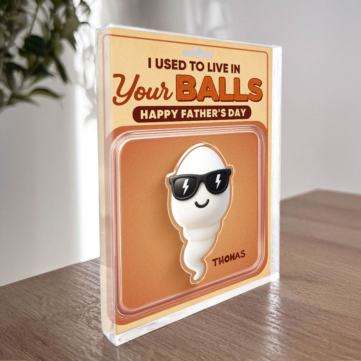 We Used To Live In Your Balls Toy Box Figures Style Personalized Acrylic Block Plaque, Funny  gift for Dads