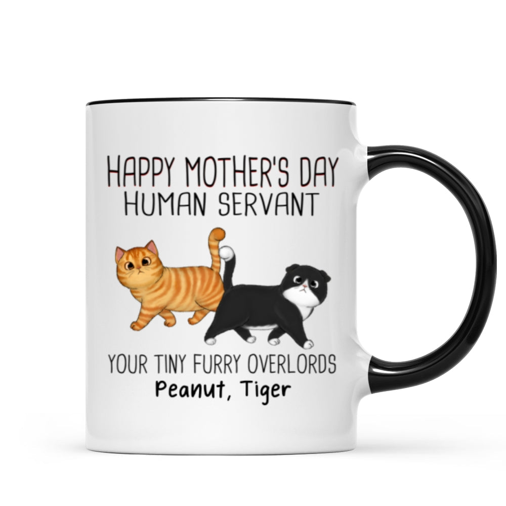 Walking Fluffy Cats Happy Mother‘s Day Cat Human Servant Personalized Mug