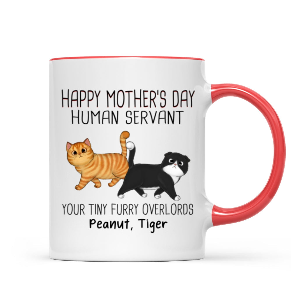 Walking Fluffy Cats Happy Mother‘s Day Cat Human Servant Personalized Mug