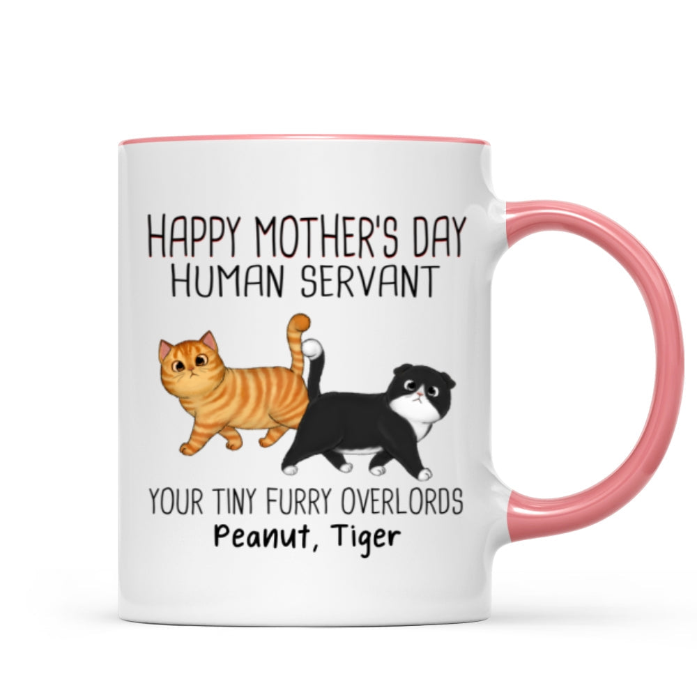 Walking Fluffy Cats Happy Mother‘s Day Cat Human Servant Personalized Mug