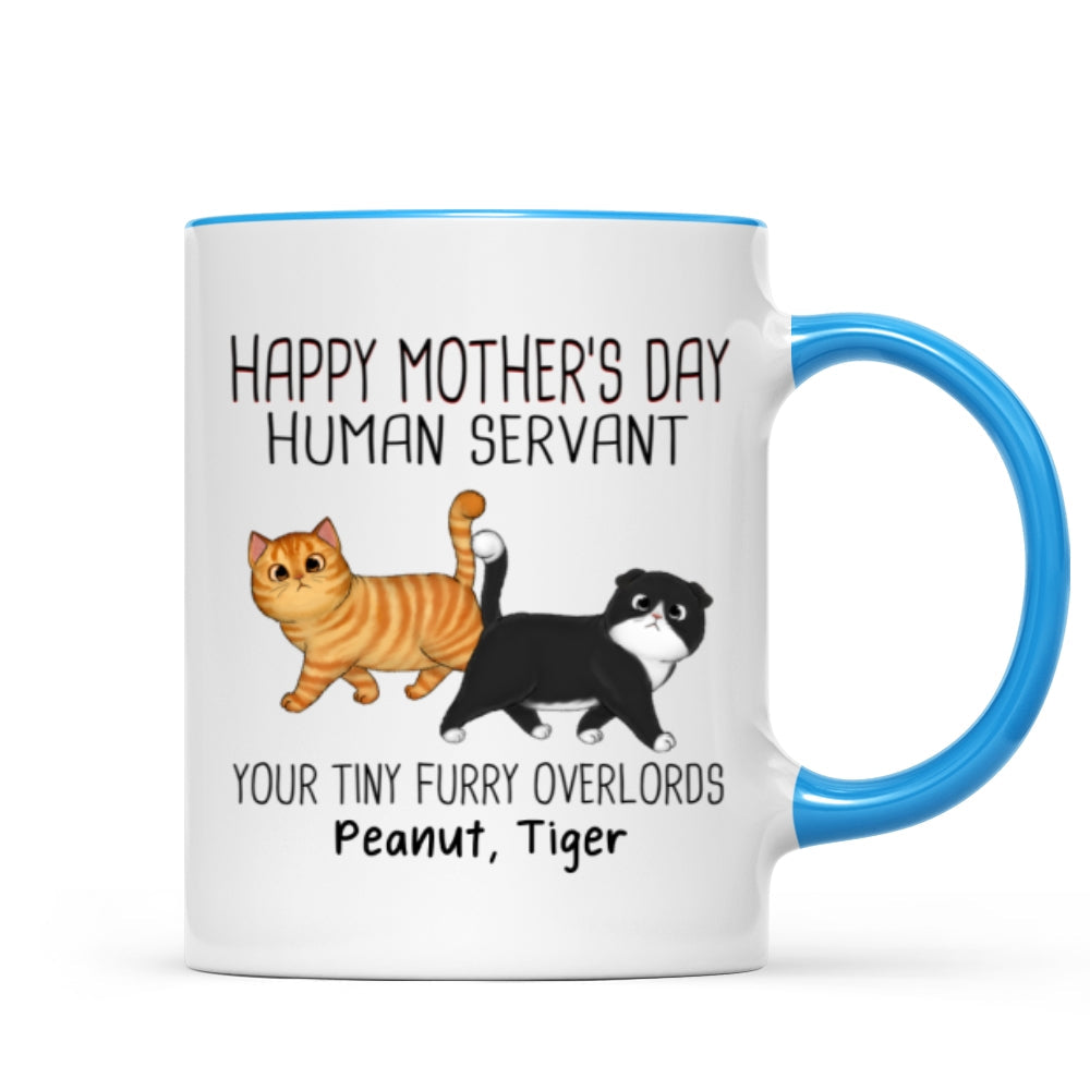 Walking Fluffy Cats Happy Mother‘s Day Cat Human Servant Personalized Mug