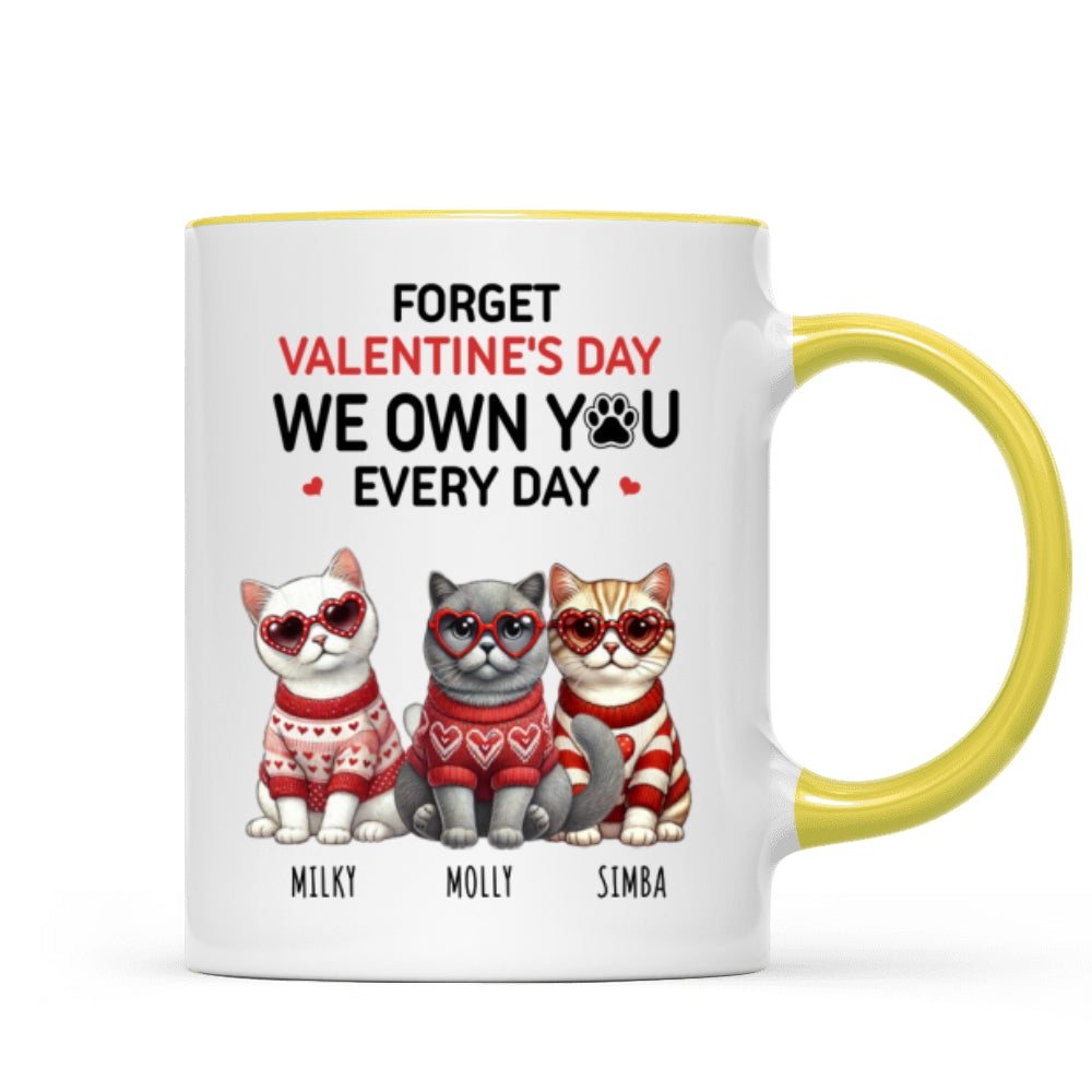 Forget  We Own You Every Day,  Cat Mom Personalized Mug, Gift for Cat lovers