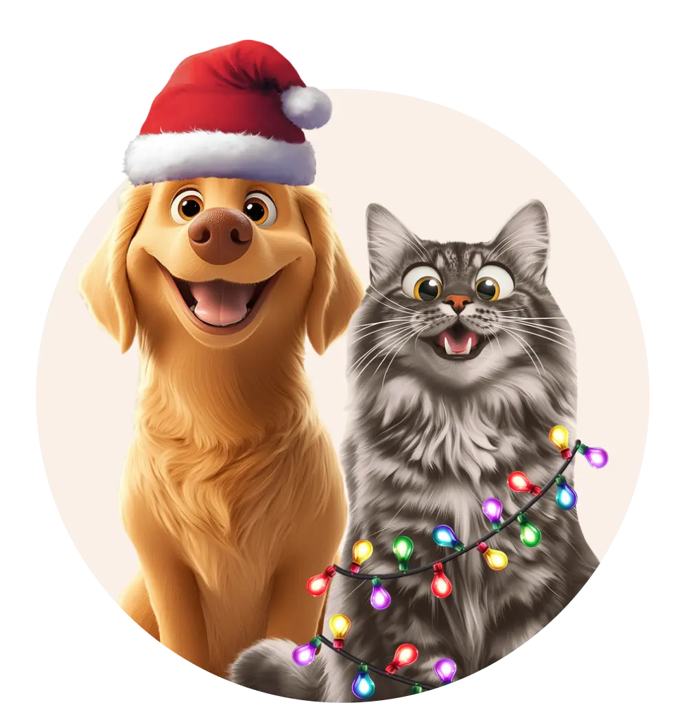 For Pet Lover